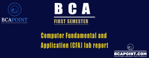 Read more about the article Computer Fundamental and Application Lab Report BCA First Semester