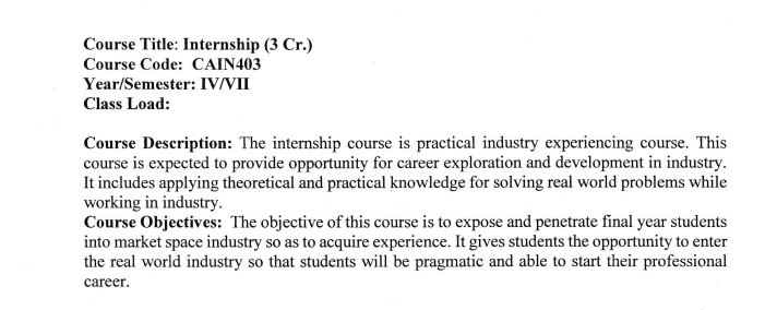 Internship Report BCA Seventh Semester 2024